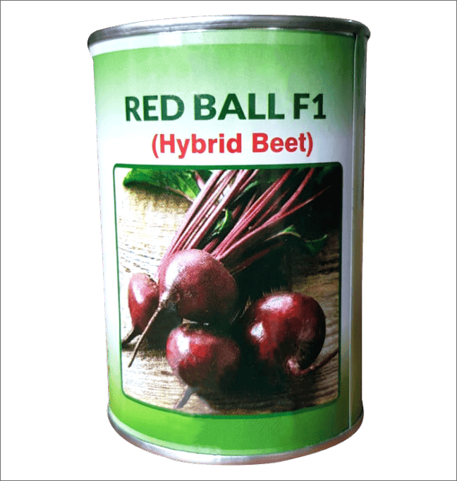 Beetroot – Red Ball F1