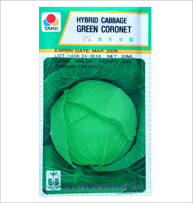 Cabbage – Green Coronet F1