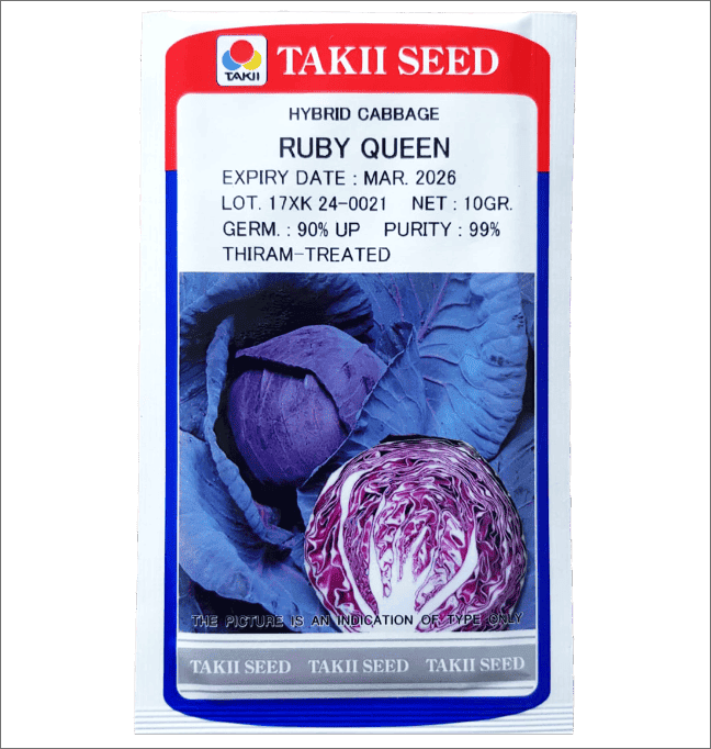 Red Cabbage – Ruby Queen F1