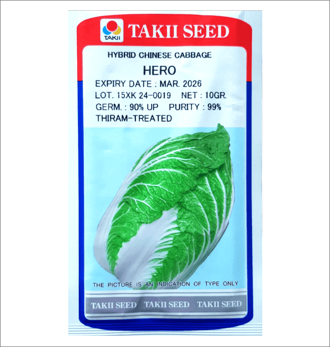 Chinese Cabbage – Hero F1