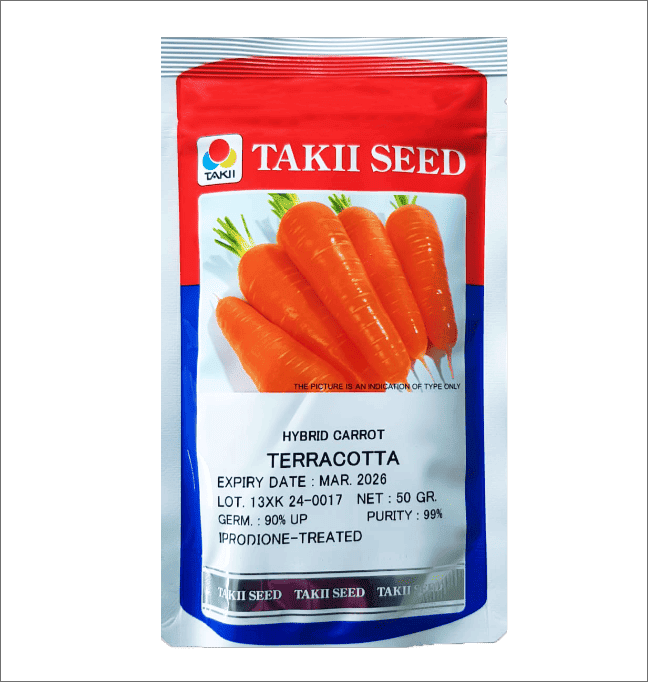 Carrot - Terracotta F1