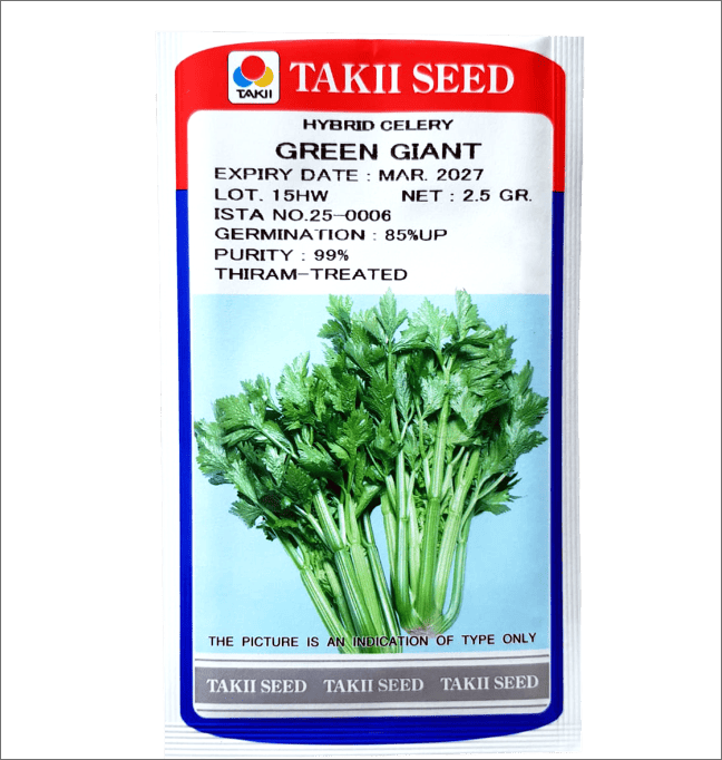 Celery – Green Giant F1