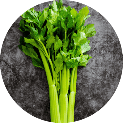 Celery