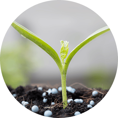 Compound Fertilizer