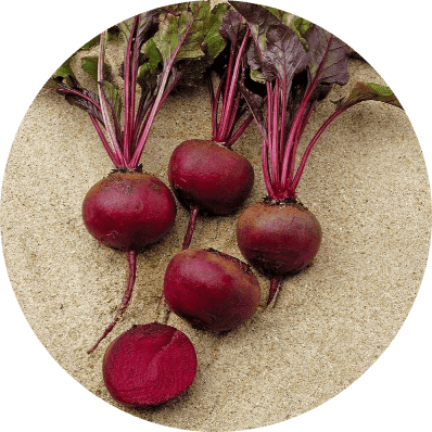 Beetroot